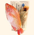 Fisk Tilapia (RÖD) 800-1000 4kg