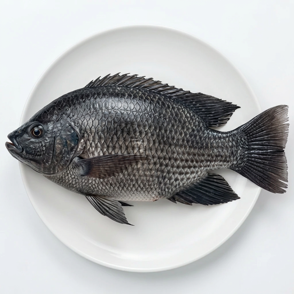 Hel svart tilapia på vit tallrik, illustrativ produktbild.