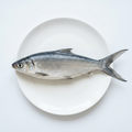 Hel mjölkfisk, Milk Fish, på vit tallrik. Illustrativ produktbild.