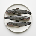 Tre hela catfish på vit tallrik, illustrativ produktbild.