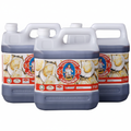 Ostronsås Thai Gross Pack 3 x 4,5 l