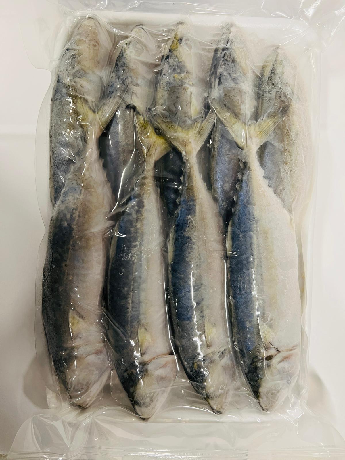Fisk Indisk Makrill Ca Bac Ma 4/6 Frysta 1kg